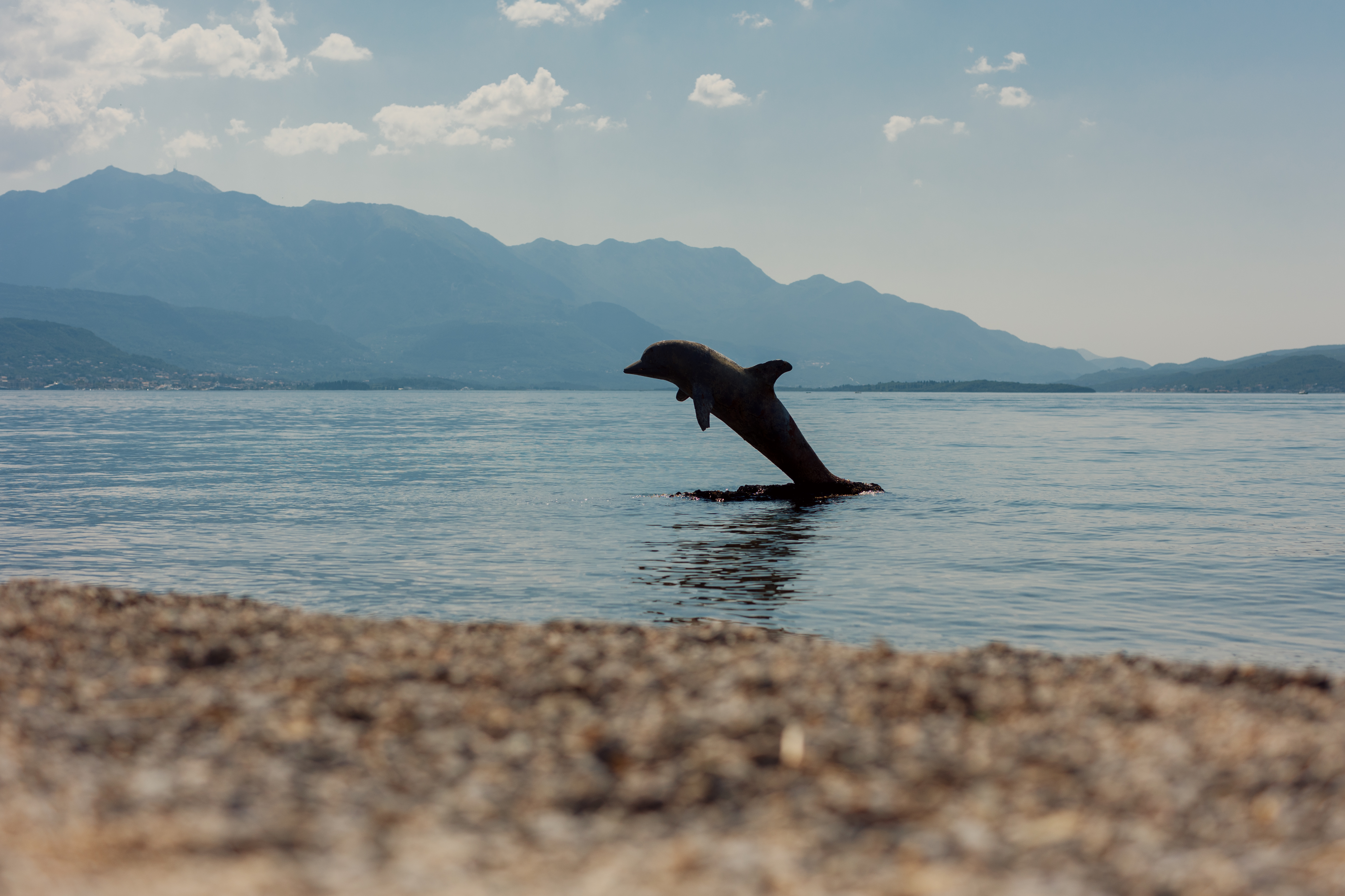 Delfin Joca
